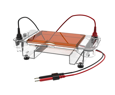 1638843035129042.jpg 多用途水平電泳槽