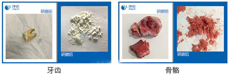 骨骼牙齒粉碎儀研磨效果圖 骨骼牙齒粉碎儀研磨效果圖