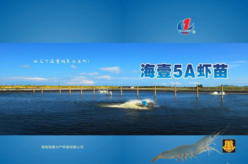 1641953667848067.jpg 海南海壹5A企業