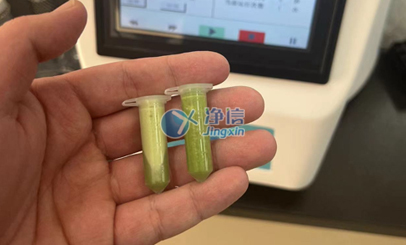水稻葉片樣品前處理研磨實(shí)驗(yàn)效果