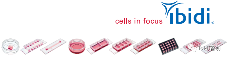 ibidi雷萌生物