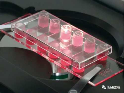 1689326922154525.jpg 1689326922154525.jpg