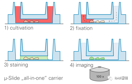 1689326977350511.png 1689326977350511.png