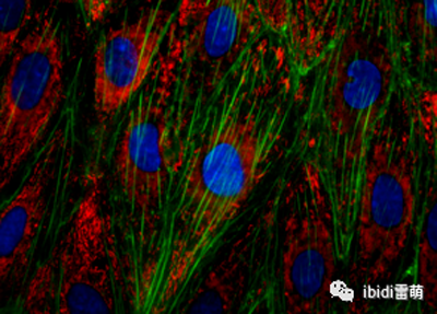 1689327147135481.png fc21f585fc9c29df0cf03f96113fa4ce.png