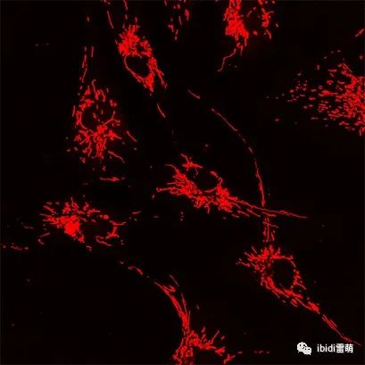 1689327245118658.jpg 1689327245118658.jpg