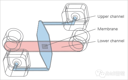 1689835976123831.png 42.png