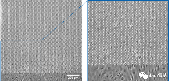 1689836099545234.png 1689836099545234.png