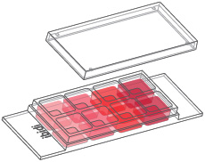 1691033532201581.jpg fc2b7adbffe2662a18c17a438811623c.jpg