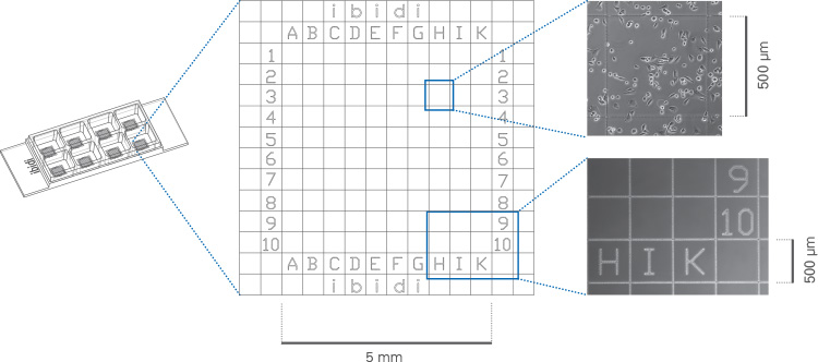 1691033550120871.jpg 1691033550120871.jpg