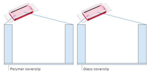 1697705408662337.png a2b817af8070f3221c40015973ffda0a.png