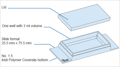 1697705500987392.png 91f6a495b3623f418990e7bc7b155eca.png