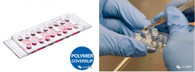 1699521772134205.png 1699521772134205.png