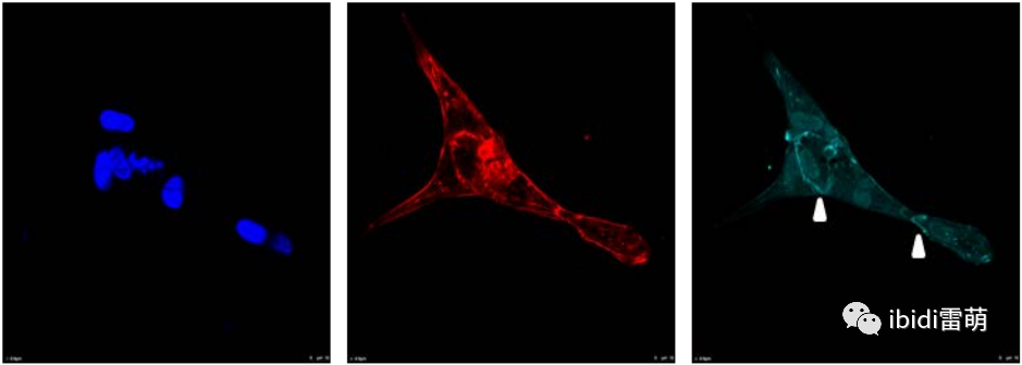 1699522038112861.png 1699522038112861.png