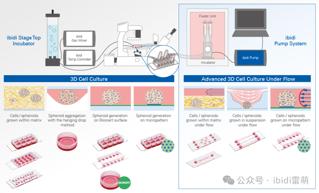 1733799511347300.png 1733799511347300.png