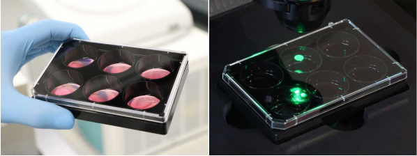 1735610809284426.jpg d39fb8ae55e0222.jpg