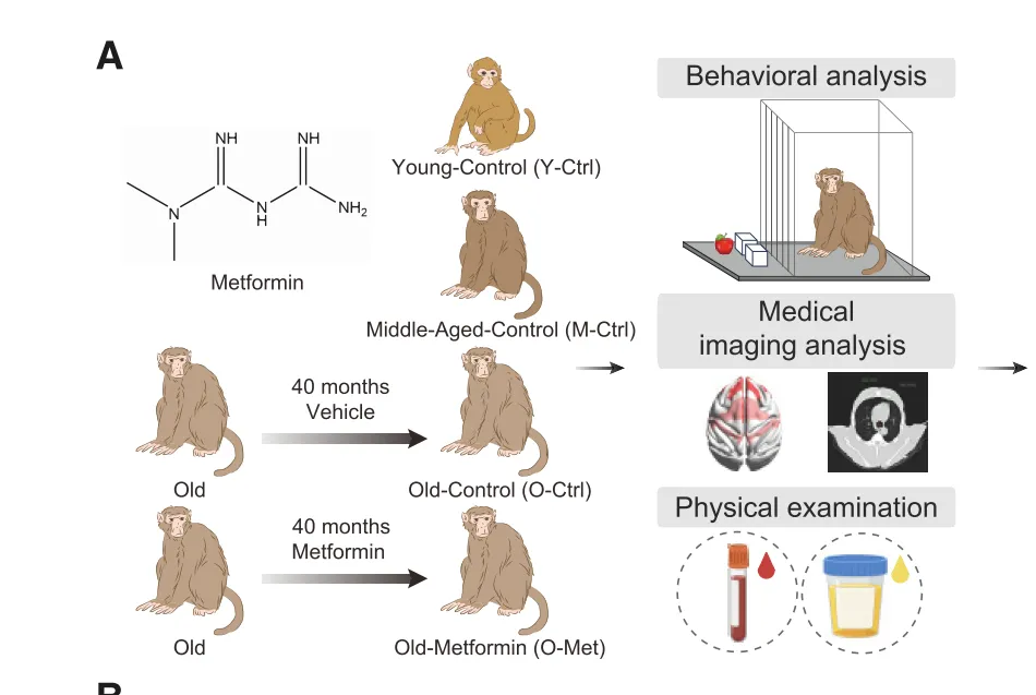 1737522746162943.png 1737522746162943.png