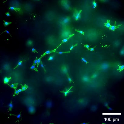 1739772458464607.png ddde257a55dfeaf3fba6fb431d71eabb.png