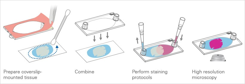 1739847506562318.png 1739847506562318.png