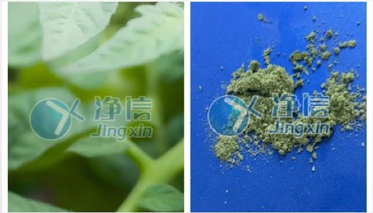 1752653625109423.jpg 805822370193.jpg