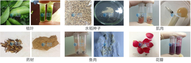 1765961600206568.png 761654267754.png