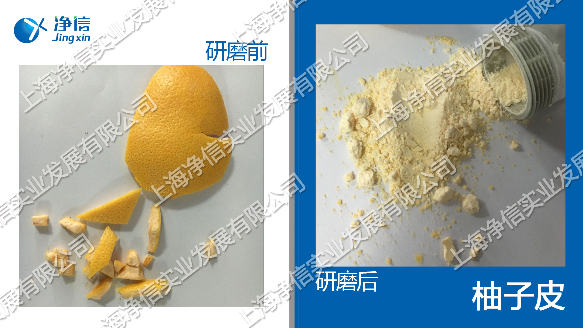 快速組織研磨機,多樣品組織勻漿機,快速樣品勻漿系統(tǒng)