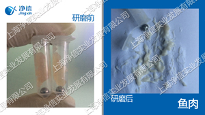 快速組織研磨機,多樣品組織勻漿機,快速樣品勻漿系統(tǒng)