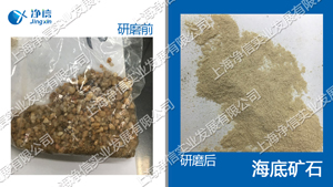 全自動(dòng)樣品快速研磨儀-32