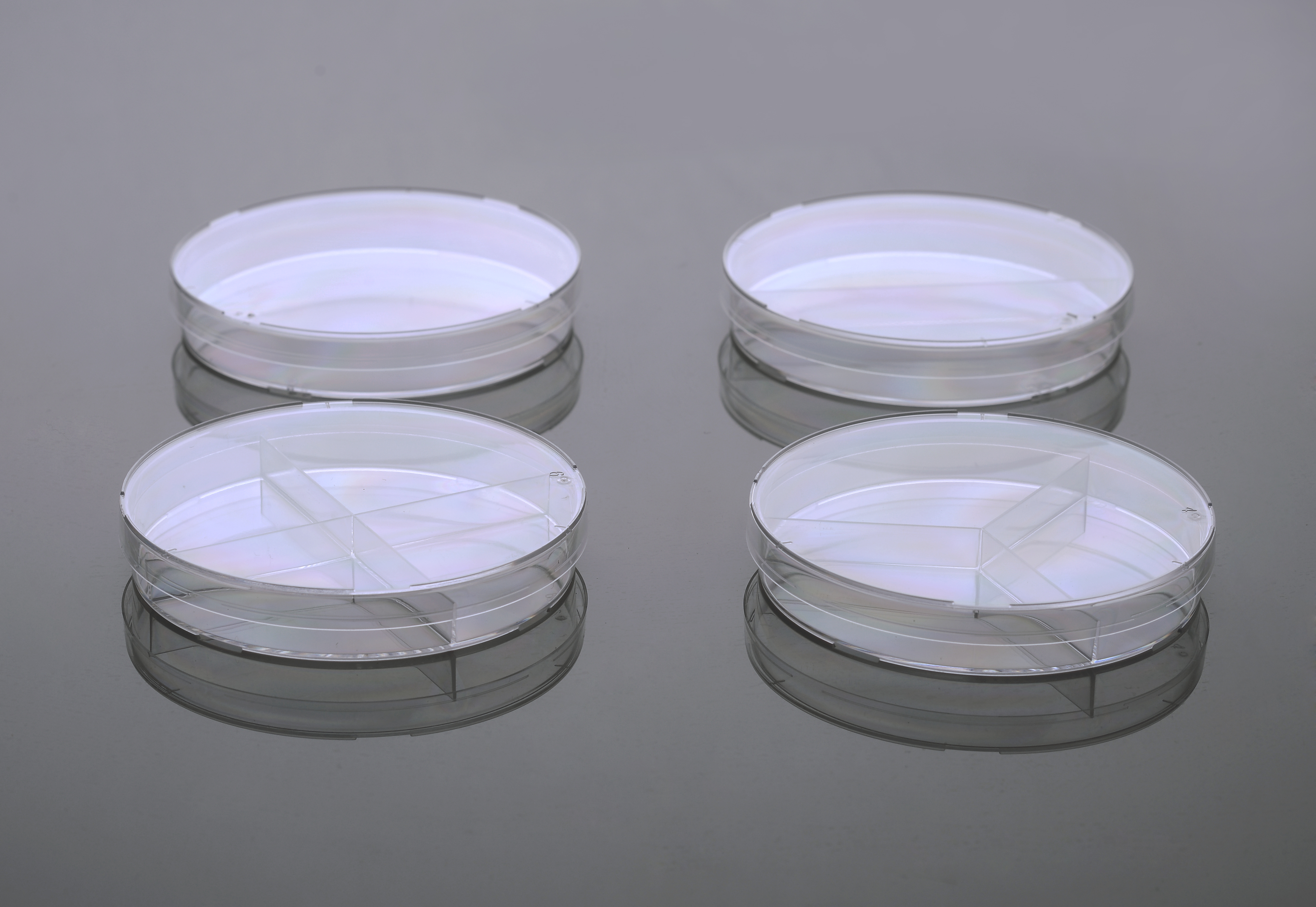 細菌培養(yǎng)皿