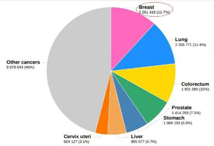 2020年全球常見新發癌癥類型及占比